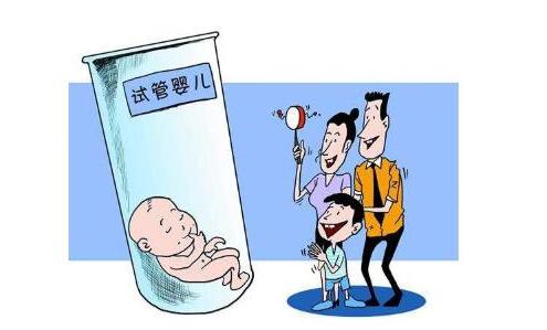 专业同志代怀助孕报价多少
